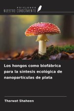 Los hongos como biofábrica para la síntesis ecológica de nanopartículas de plata