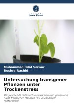 Untersuchung transgener Pflanzen unter Trockenstress