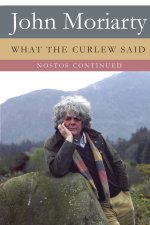 What The Curlew Said - Nostos Continued