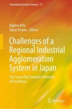 Challenges of a Regional Industrial Agglomeration System in Japan