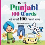 My First Punjabi 100 Words