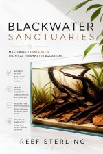 Blackwater Sanctuaries
