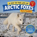 Arctic Foxes