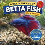 Betta Fish