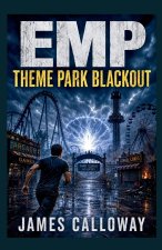 EMP Theme Park Blackout