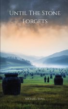 Until the Stone Forgets