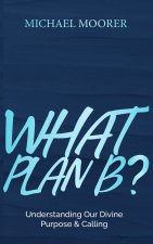 WHAT PLAN B?