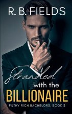 Stranded with the Billionaire
