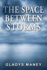 The Space Between Storms
