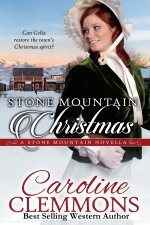 Stone Mountain Christmas