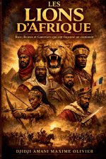 LES LIONS D'AFRIQUE