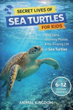 Secret Lives of Sea Turtles for Kids