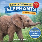 Elephants