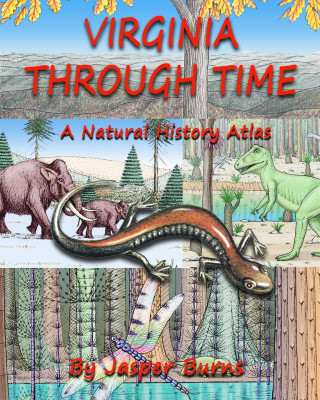 Virginia Through Time