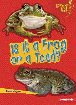 Is It a Frog or a Toad?