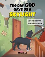 The Day God Gave Us A Skylight