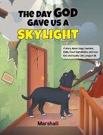 The Day God Gave Us A Skylight
