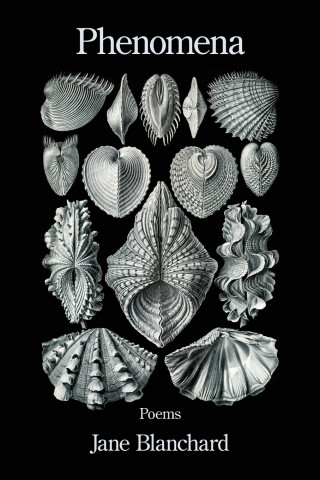 Phenomena