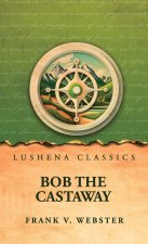 Bob the Castaway