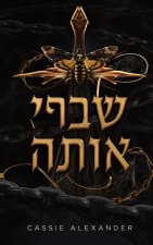 שברי אותה