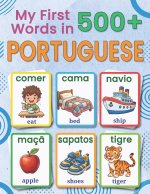 My First 500+ Words in European Portuguese