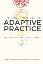 The Fundamentals of Adaptive Practice