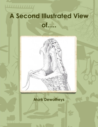 A Second Illustrated View of.....