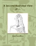 A Second Illustrated View of.....