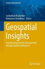 Geospatial Insights