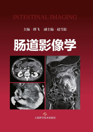 Intestinal Imaging/肠道影像学