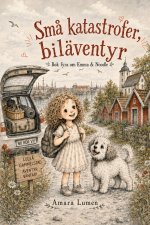 Små katastrofer, biläventyr