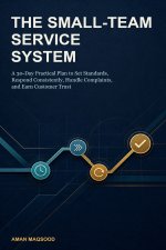The Small-Team Service System