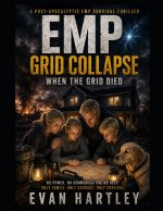 EMP Grid Collapse