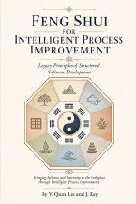 Feng Shui for Intelligent Process Improvement