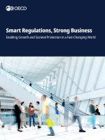 Smart Regulations, Strong Business