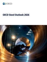 OECD Steel Outlook 2026
