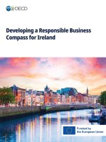 Developing a Responsible Business Compass for Ireland