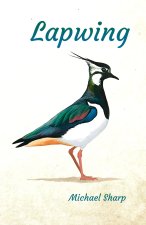 Lapwing