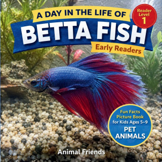 Betta Fish