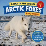 Arctic Foxes