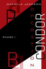 Project Blackwell Operation Condor