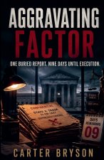 Aggravating Factor