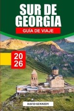 GUÍA DE VIAJE GEORGIA DEL SUR 2026