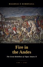 Fire in the Andes