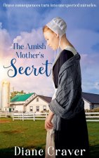 The Amish Mother's Secret