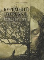 Буремний перевал