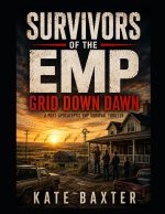 Survivors of the EMP
