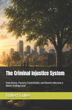 The Criminal Injustice System