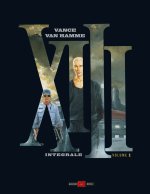 XIII. Integrale