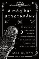 A mágikus boszorkány